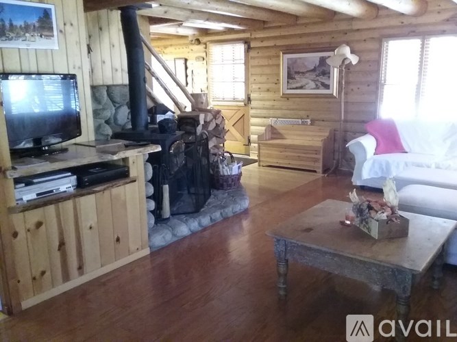 A living room with a fireplace and a television.