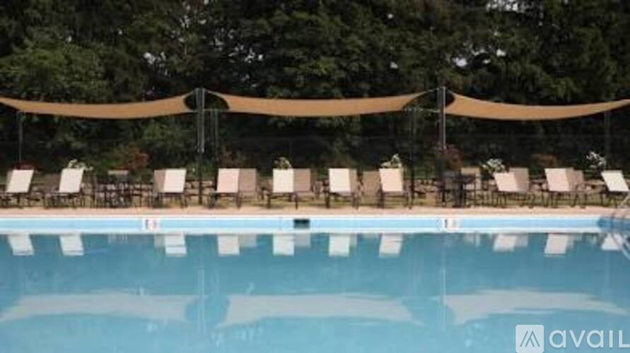 A pool with sun loungers and a canopy.