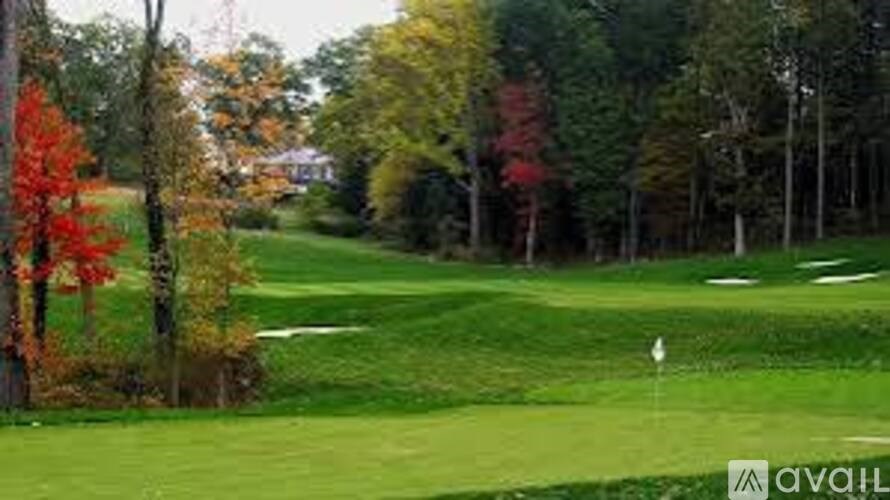 A golf course with a green and trees in the background.