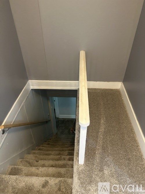 A staircase with a carpeted runner and wooden handrail.