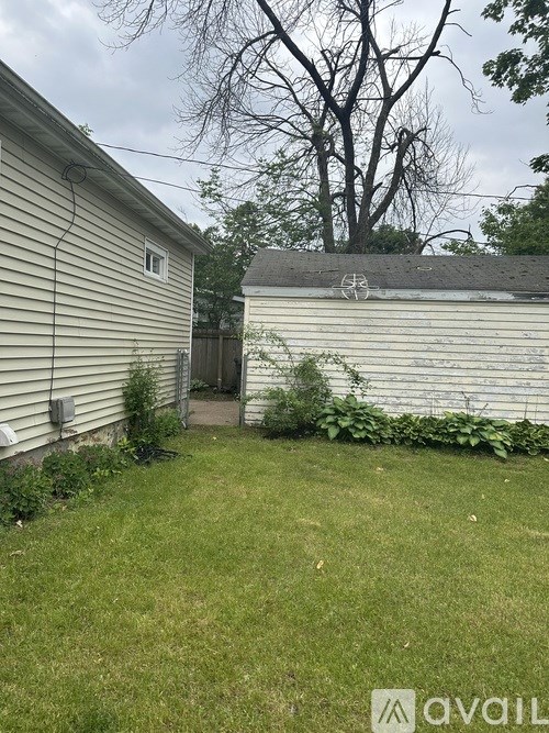 A backyard with a house, a tree, and a fence.