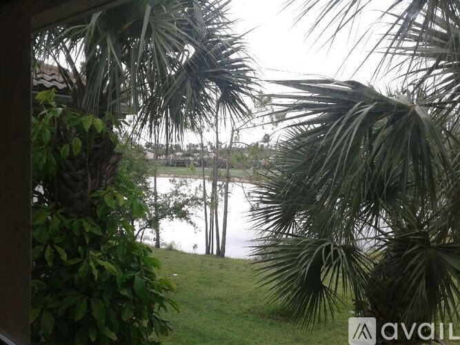 A view of a lake through some trees.