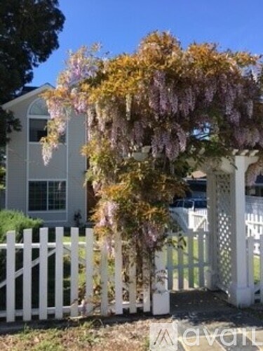 A white picket fence with a flowering tree in front of a house.