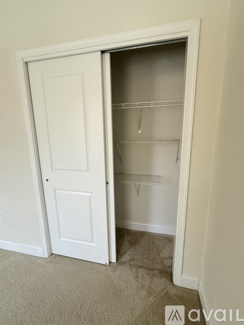 A white door is open to a small closet with shelves.