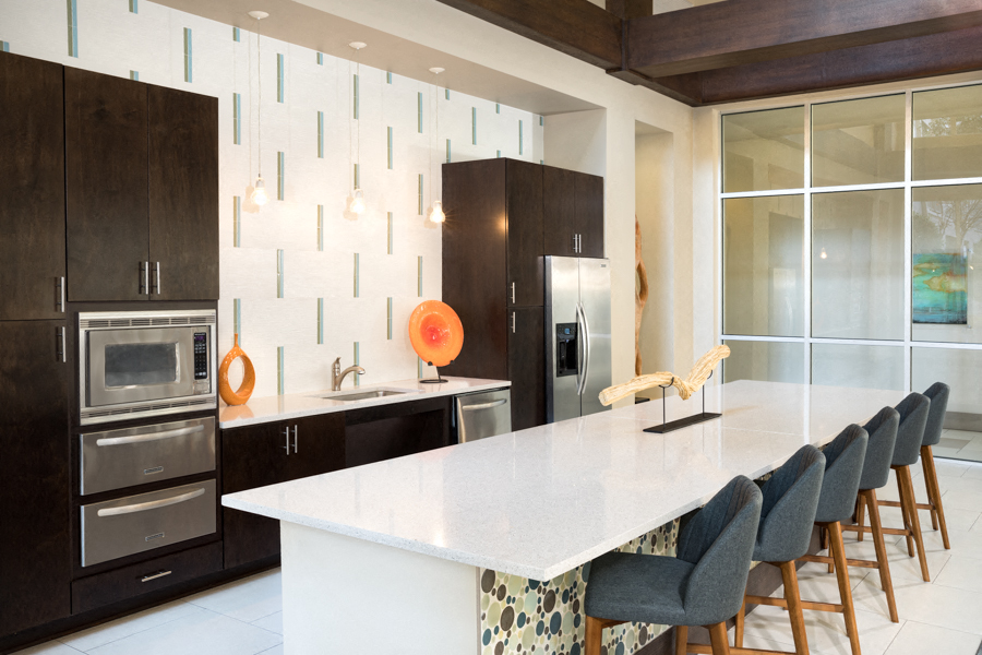 The Icon at Ross - Dallas, TX - Entertaining Kitchen