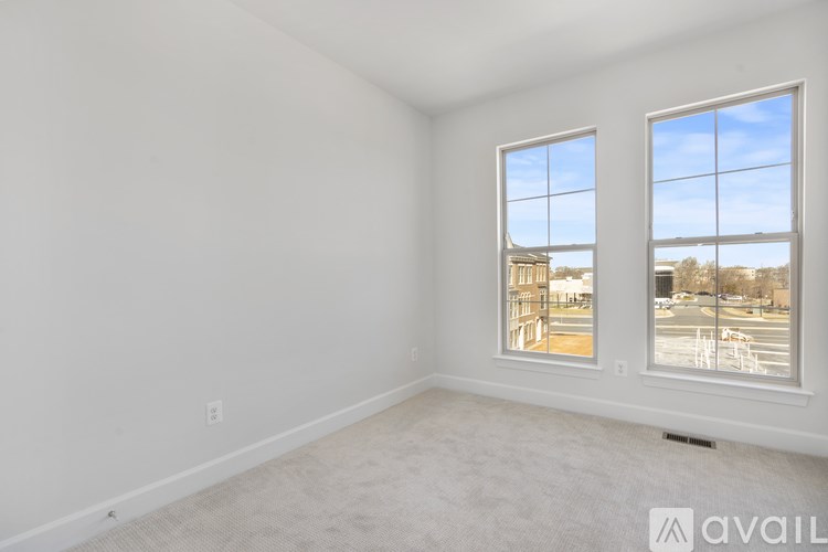 A room with two windows and a carpeted floor.