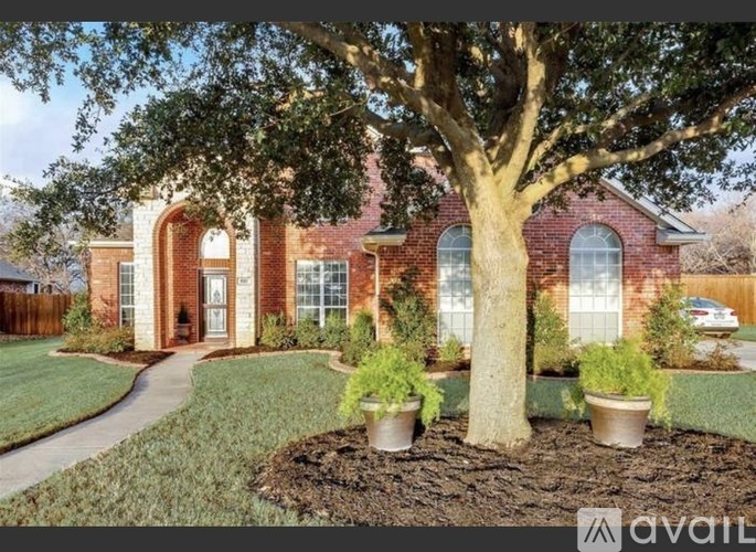 A house with a tree in front and a lawn.