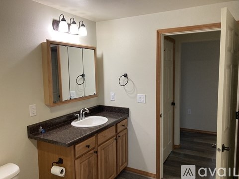 A bathroom with a sink, mirror, and toilet paper roll.