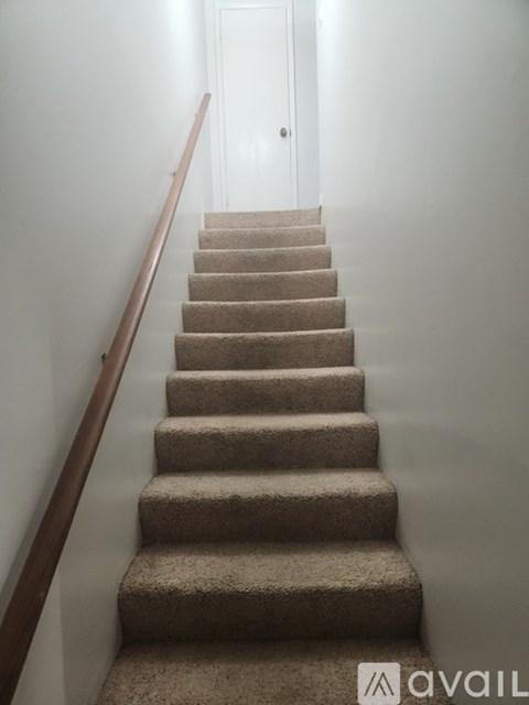 A beige carpeted staircase with a wooden handrail.