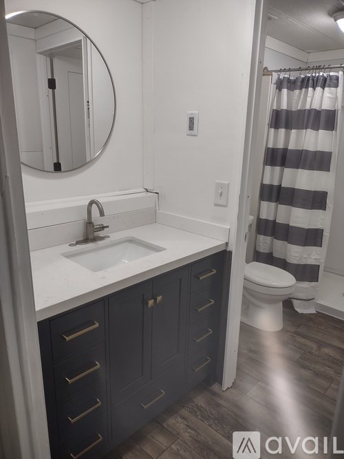 A bathroom with a sink, toilet, and striped shower curtain.