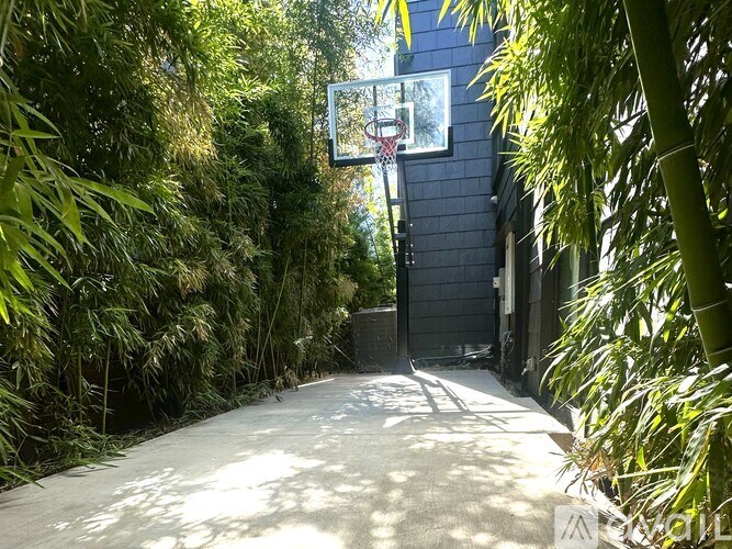 A basketball hoop is mounted on a wall in a lush green backyard.