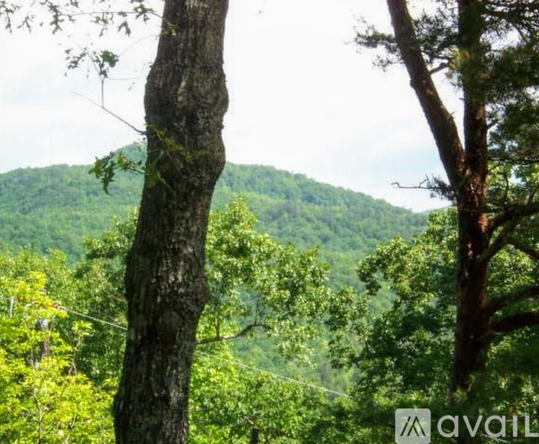 Source URL: https://prod-avail.s3.amazonaws.com/public_images/41503626/listing/VIEWS_(5).png