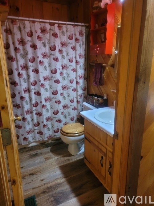 A bathroom with a toilet, sink, and shower curtain.