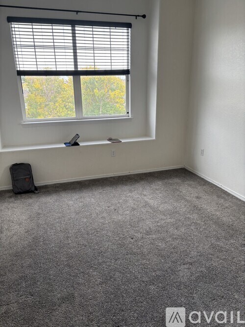 A room with a grey carpet and a window with blinds.