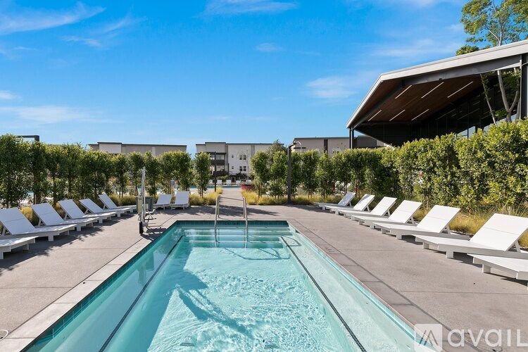 A pool surrounded by sun loungers and trees.