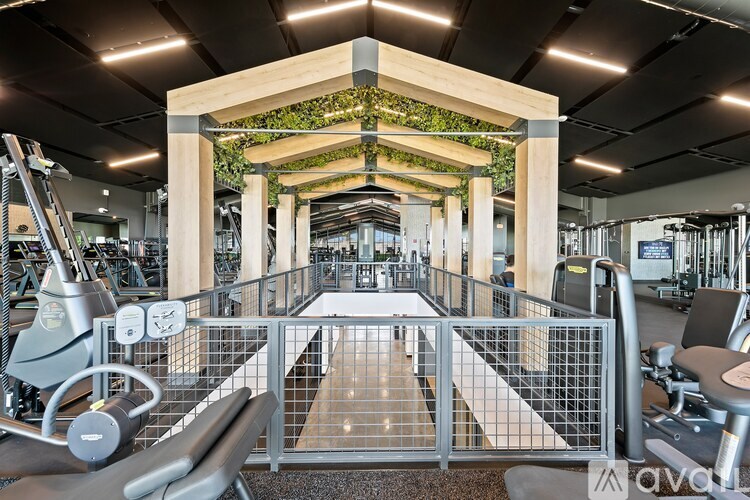 A gym with a variety of equipment including treadmills, weights, and a green wall.