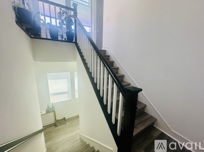 A white shelf with plants and wine bottles.