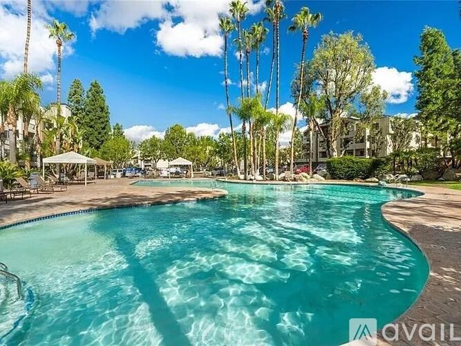 A large swimming pool surrounded by palm trees and a clear blue sky.