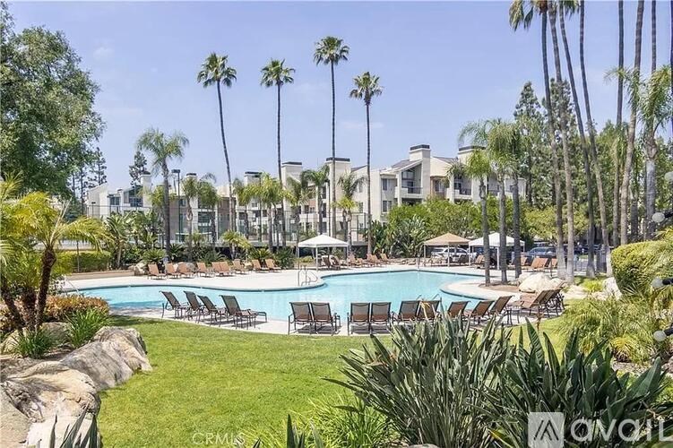 A pool surrounded by palm trees and lounge chairs.