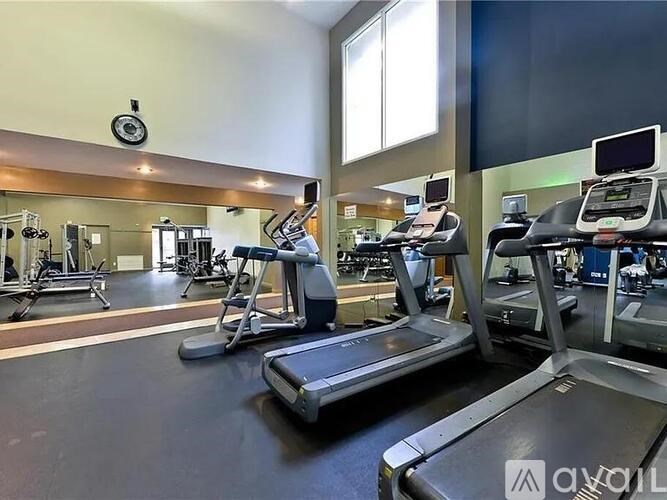A gym with treadmills and elliptical machines.