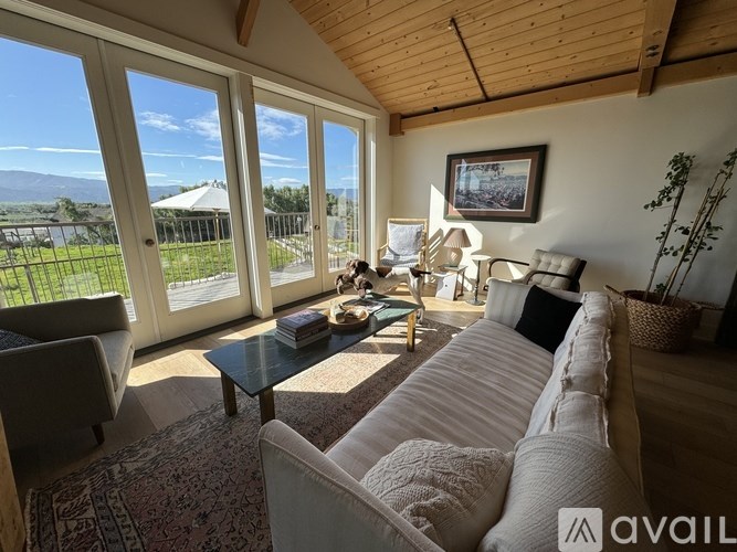A living room with a couch, chair, and a table with a plant on it.
