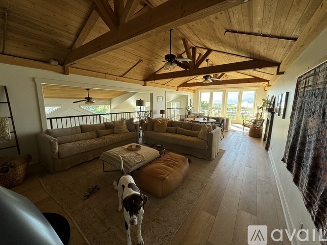 A dog is standing in a living room with a fan and a couch.