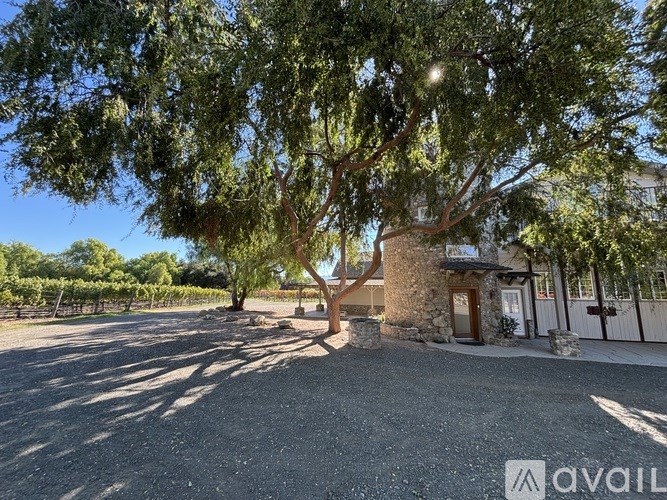 A gravel area with a tree in front of a building with a stone pillar.