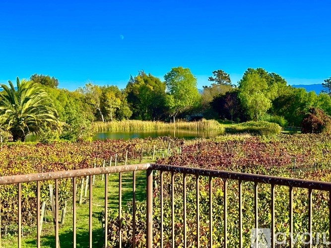 A metal fence in front of a field with trees and a lake in the background.