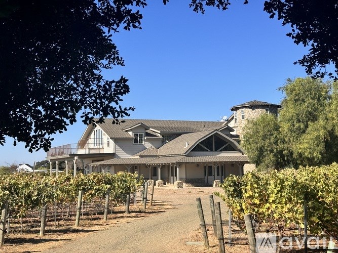 A large house with a grey roof is surrounded by a fence and vineyards.