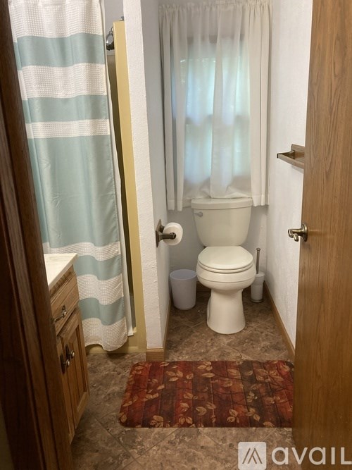 A bathroom with a toilet, a shower curtain, and a rug.