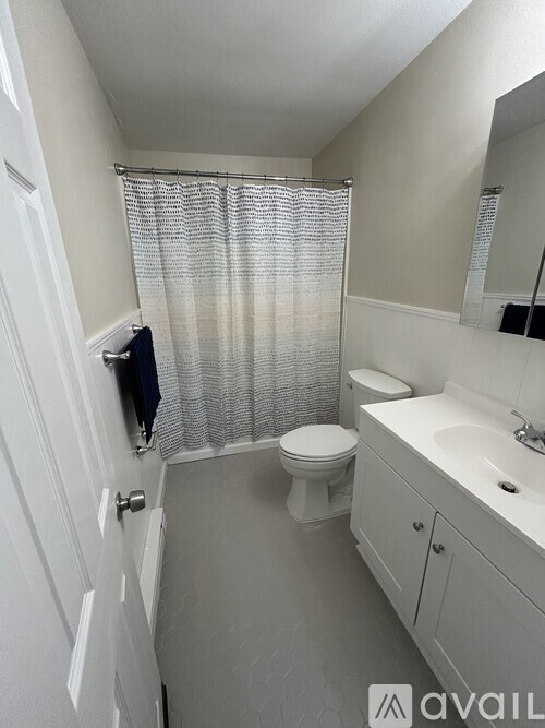 A bathroom with a toilet, sink, and shower curtain.