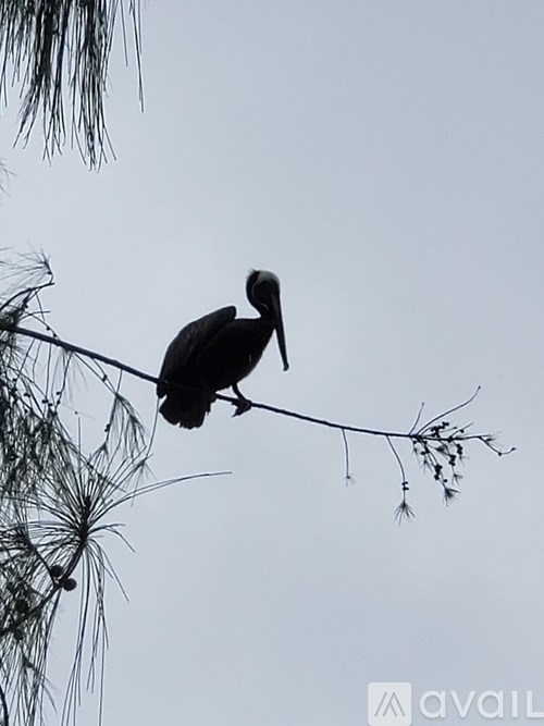 A bird is perched on a branch.