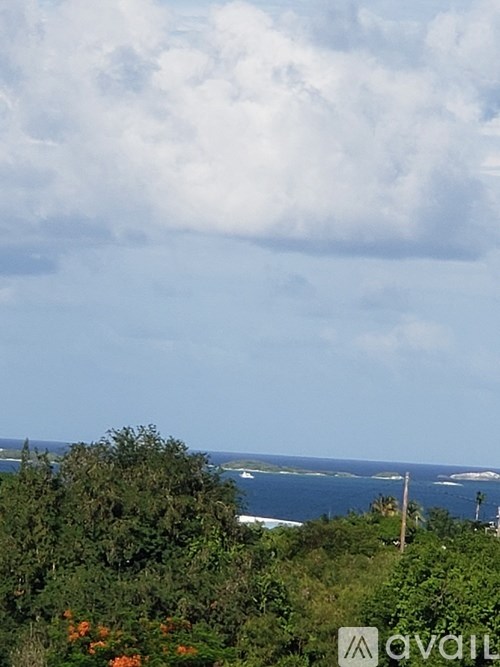 A landscape with a view of the ocean through some trees.
