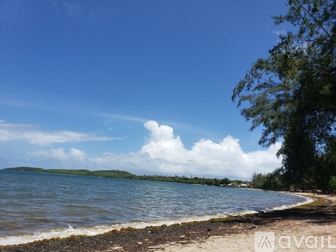 A beach with a clear blue sky and a few clouds.
