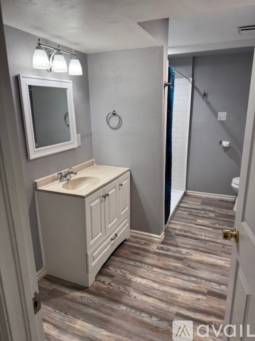 A bathroom with a sink, mirror, and wooden flooring.