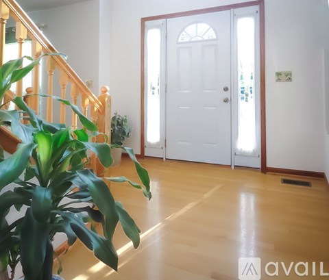 A room with a white door and a plant in the foreground.