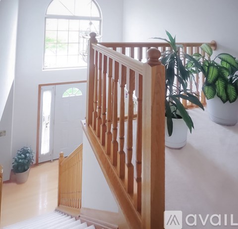 A wooden staircase with a potted plant on the side.