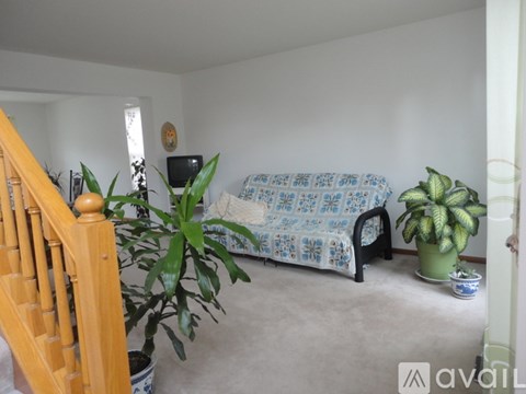 A room with a couch, a TV, and a plant.