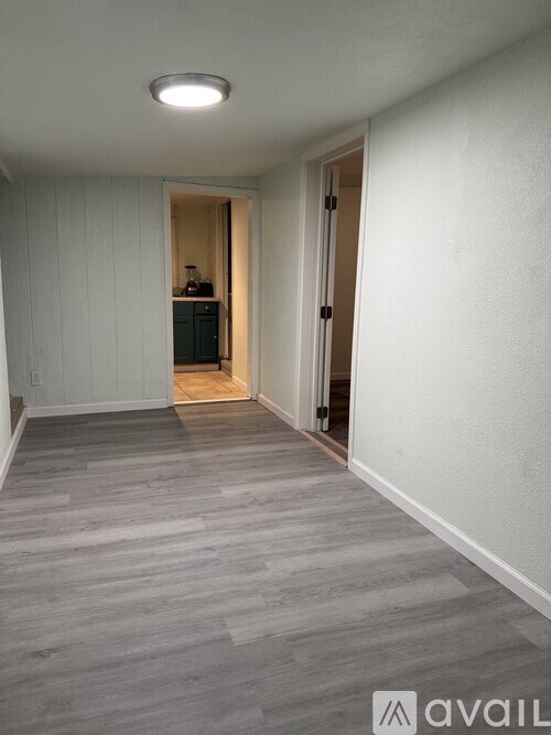 A hallway with a light on the ceiling and a cabinet in the doorway.