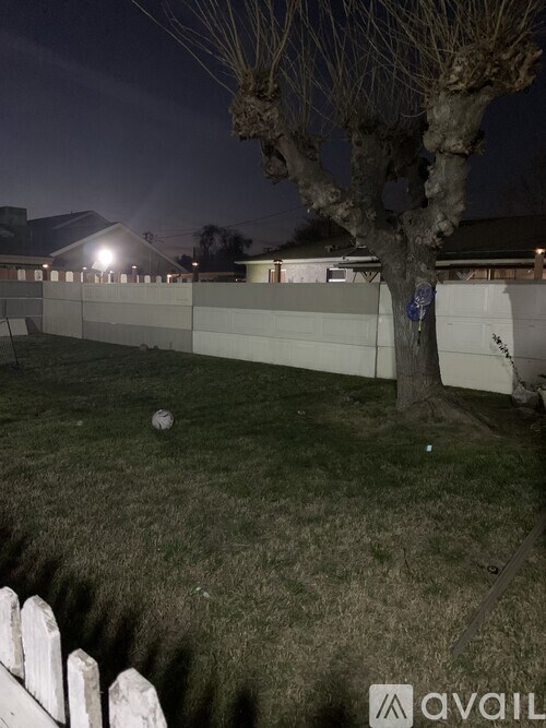 A tree stands in a yard next to a white fence.