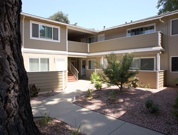 445 Encinal Avenue 1-2 Beds Apartment for Rent - Photo Gallery 6