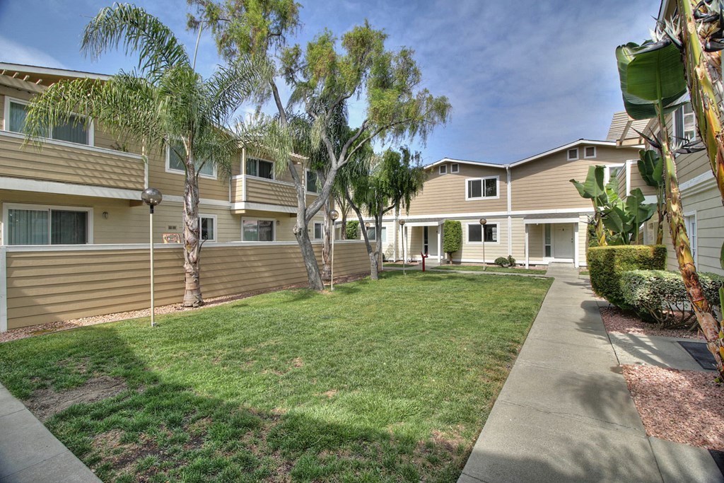 A sunny day at a residential area with houses and greenery.