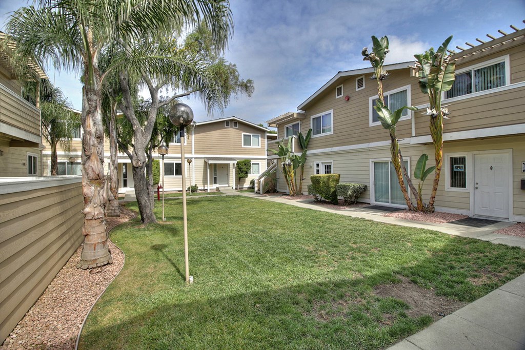 A residential area with a tree and a building in the background.