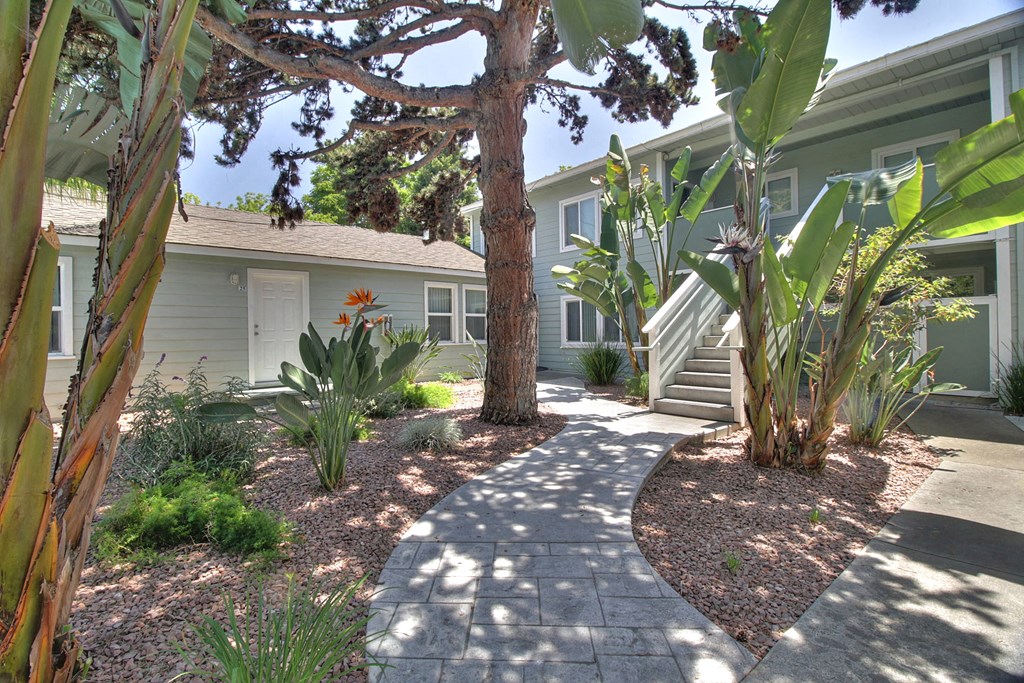 A garden with a pathway and a house in the background.