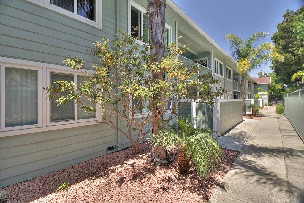 A tree in front of a green house.