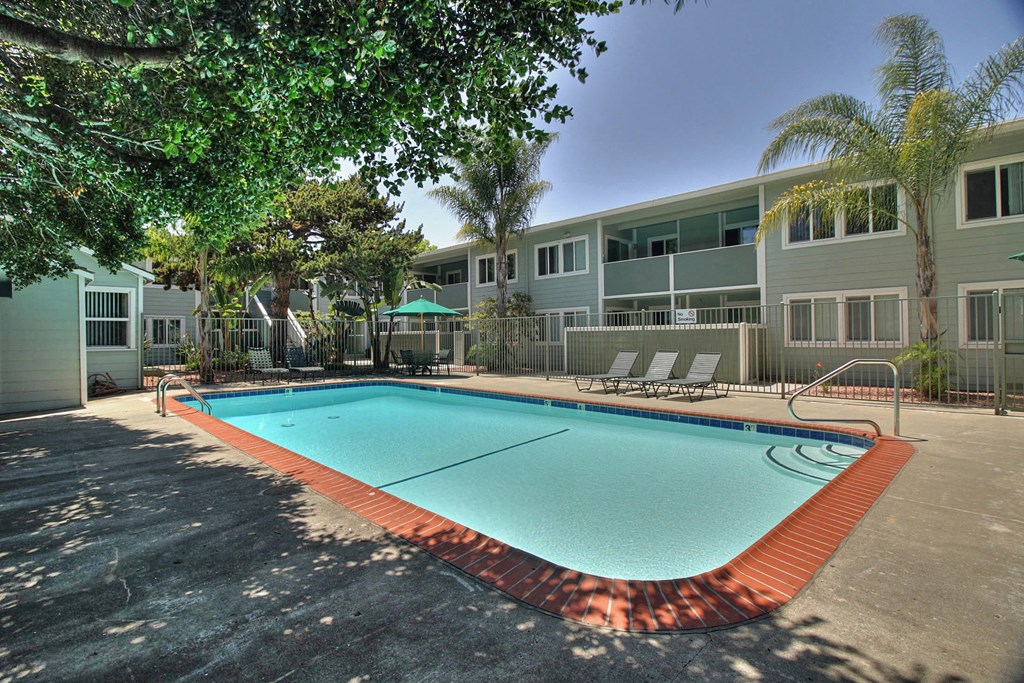 A swimming pool surrounded by trees and a building in the background.