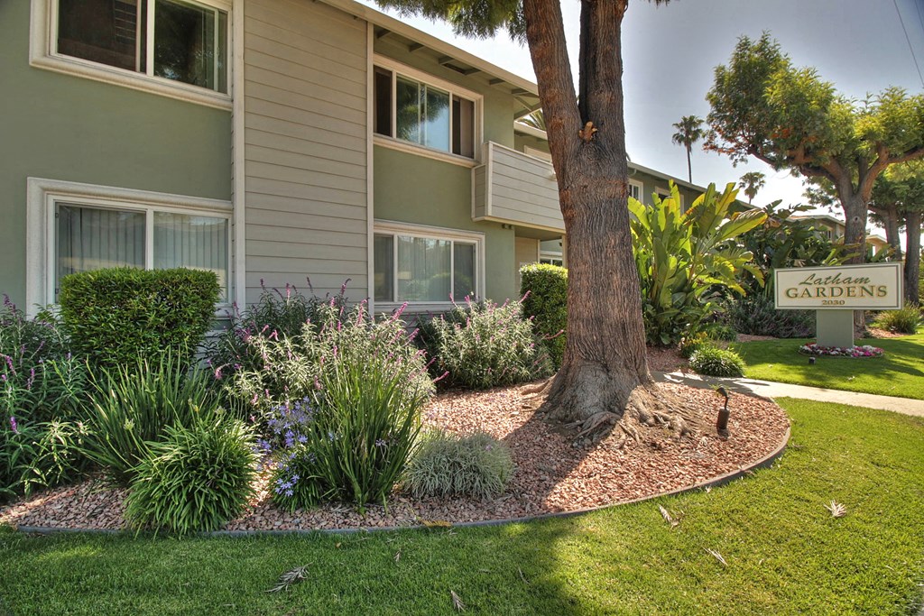 A tree in a garden in front of a building.