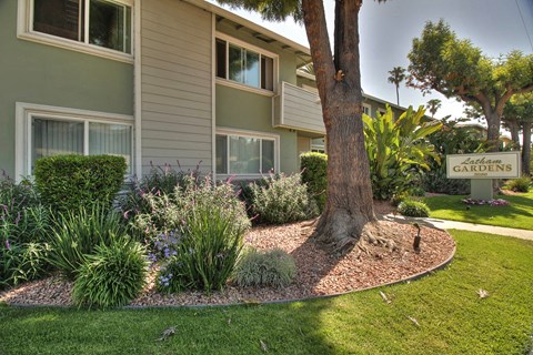 A tree in a garden in front of a building.