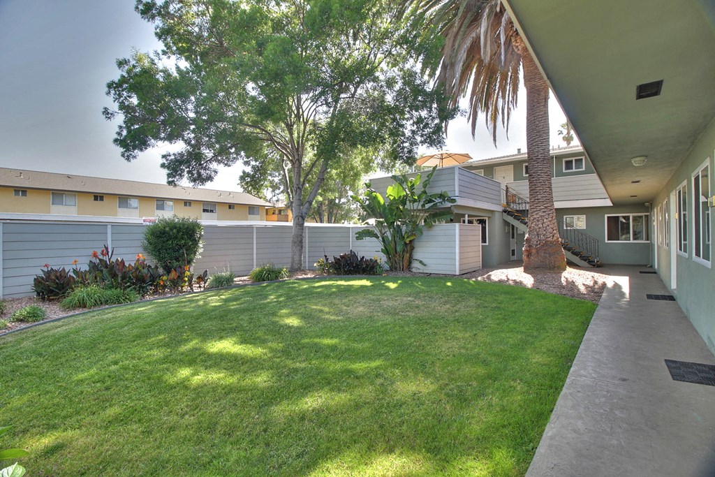 A well-maintained lawn with a palm tree and a building in the background.