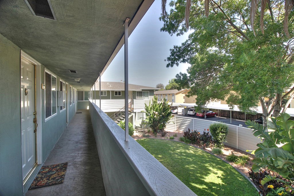 A long hallway with a green tree on the right.